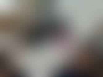 Causa animal em pauta na agenda de Renato Brandão