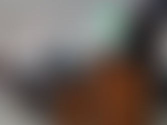 Renato Brandão apresenta moção de congratulação em homenagem ao Cel PM Anselmo Brandão