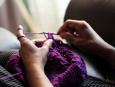 GATOR SNAPSHORT: WE ARE WHAT WE KNIT