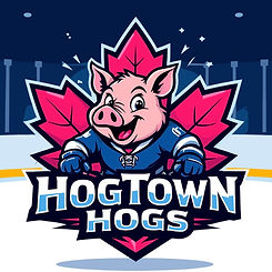 New HIOGS Logo.JPG
