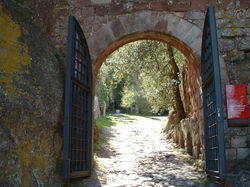 lynnes pic 2