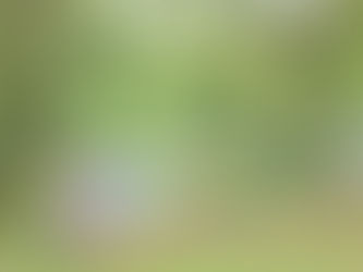 11/1(土)より「ZOO 遊び場」登場!