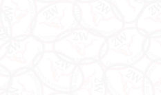 2W Theme Block Background 620x366.jpg