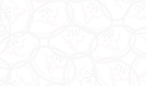 2W Theme Block Background 620x366.jpg