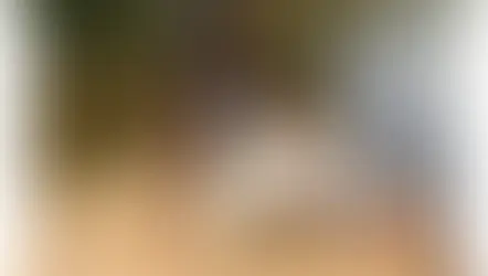 Mulher paraense é assassinada pela ex-namorada no Mato Grosso. Veja o vídeo