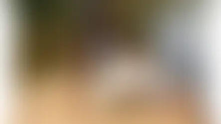 Mulher paraense é assassinada pela ex-namorada no Mato Grosso. Veja o vídeo