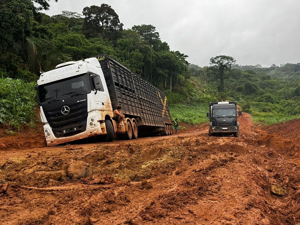 Aspecto da BR-230, próximo a Placas, na região Oeste do Pará