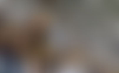 Remo joga para 26 mil torcedores em estreia. Paysandu, leva 8 mil à Curuzu