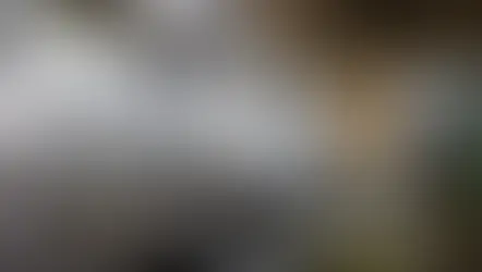 Tarifaço de Trump sobre alumínio e aço pode impactar pouco exportações brasileiras