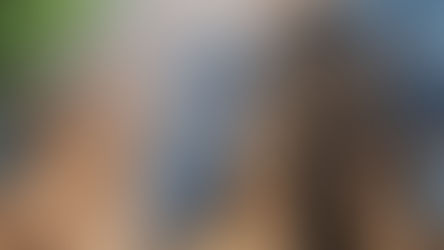 Indígenas destroem ponte no Sul do Pará e ameaçam incendiar outras quatro