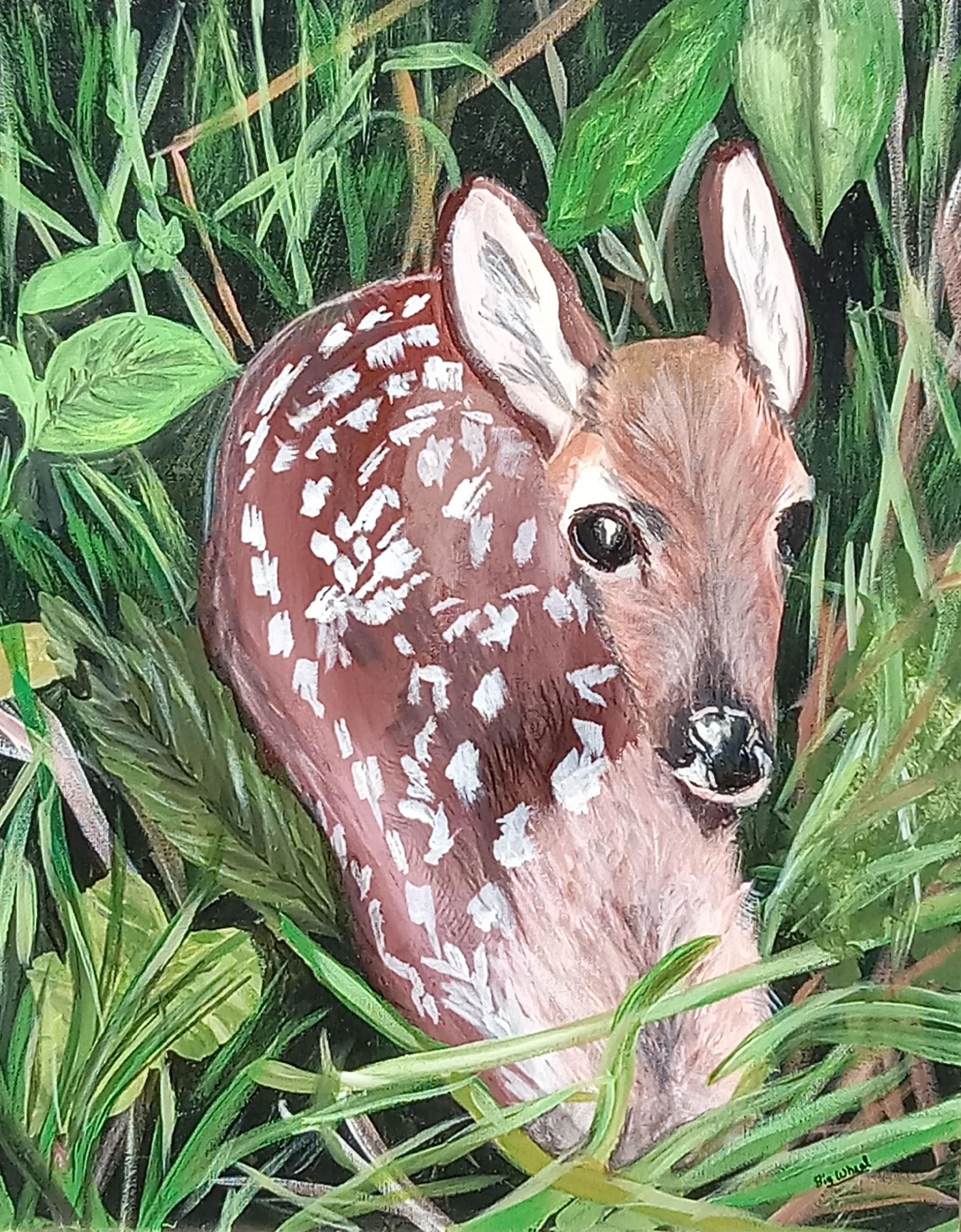 White Tailed Fawn 18"x24" acrylic on canvas