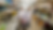 Website Revamp Feedback v4 250619-0702.pptx.png