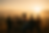 20251021_1408_South African Sunrise Unity_simple_compose_01k83amsgkfwstqg2vd5jgwjpc.png