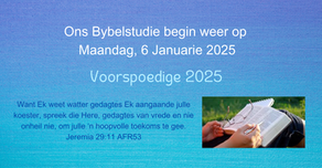 🎊 2025 🎉