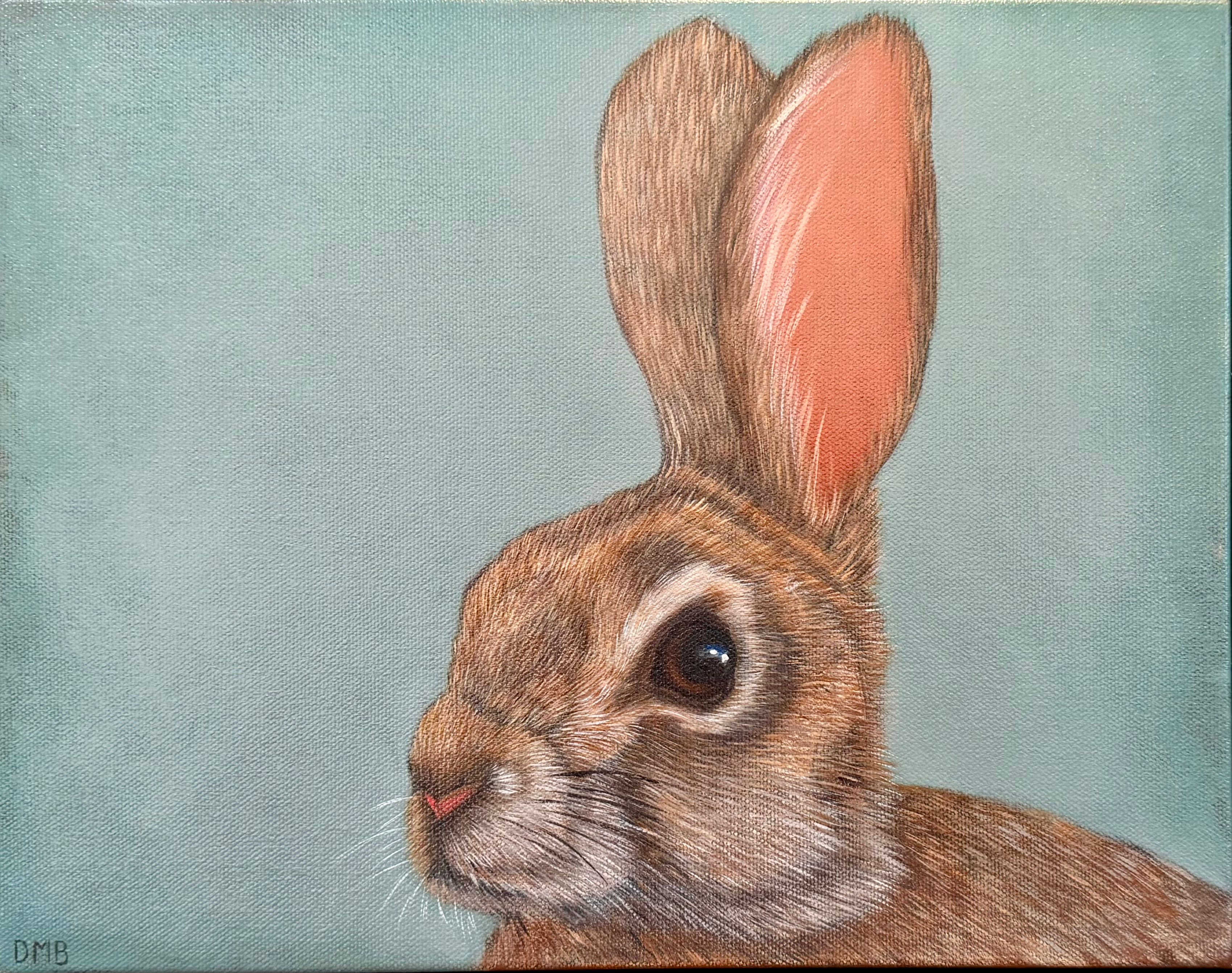 RABBIT