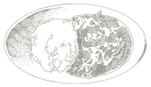ナスカレーWeb.png