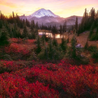 mount rainier sunset fall autumn fall color natches lopp trail tipsoo lake little tipsoo lake mountain cascades huckleberry bushes j johnson photography jeremy johnson photography