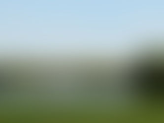 Becs et Plumes au lac de Grand-Lieu