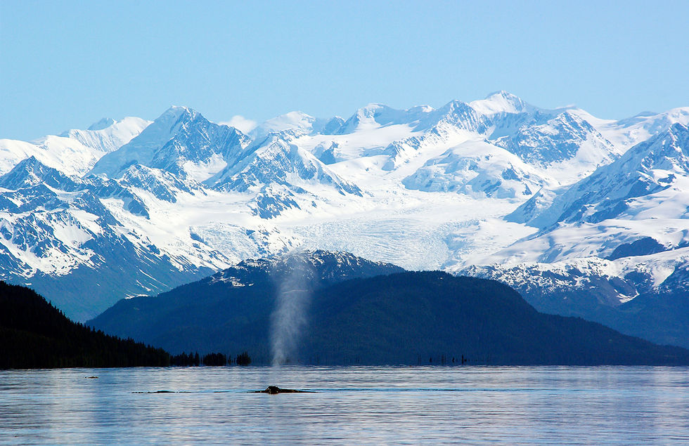 whale spray and glaciers.jpg