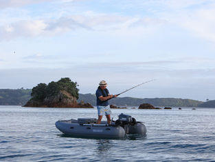 Takacat T300S pictured