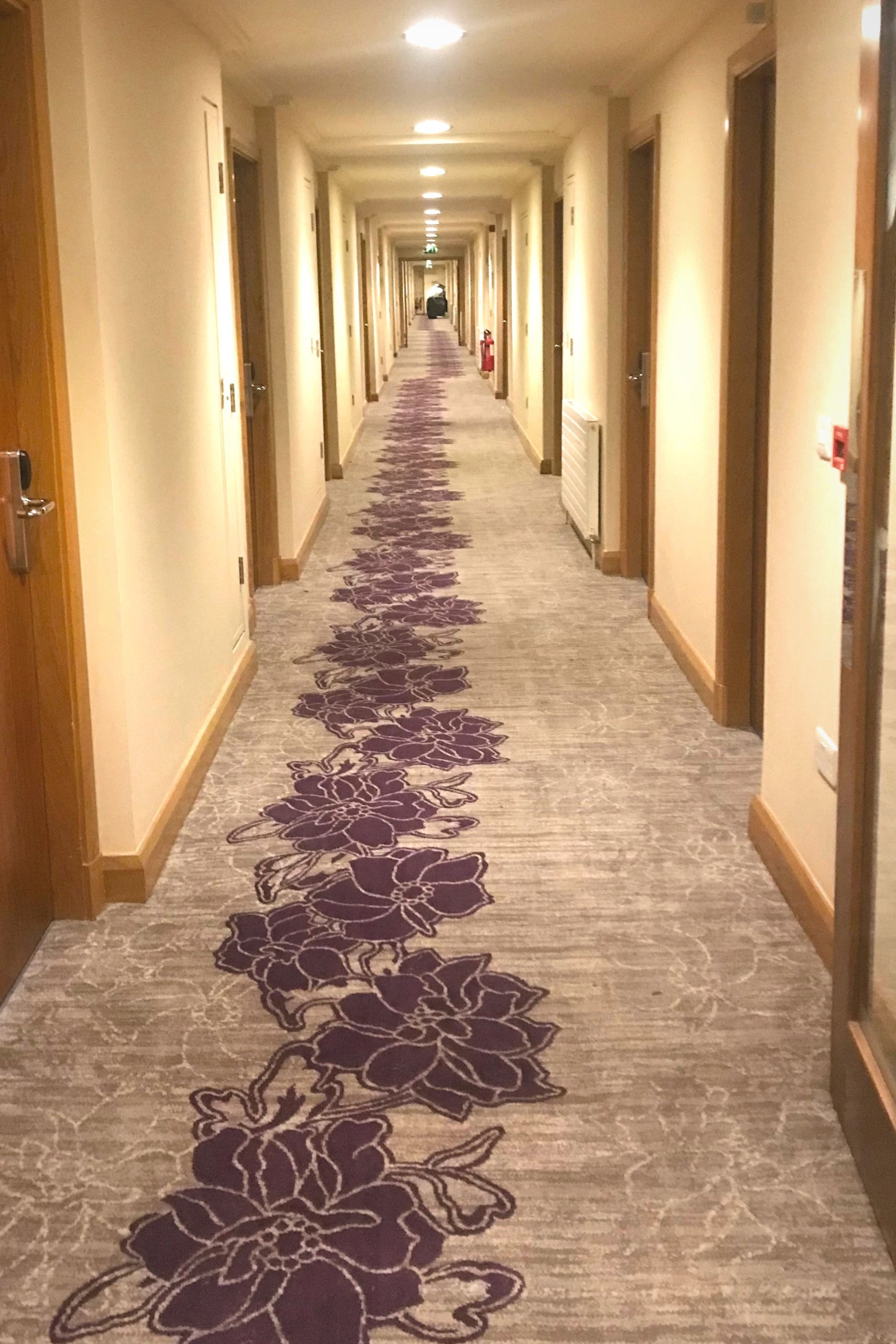 Corridor Carpet