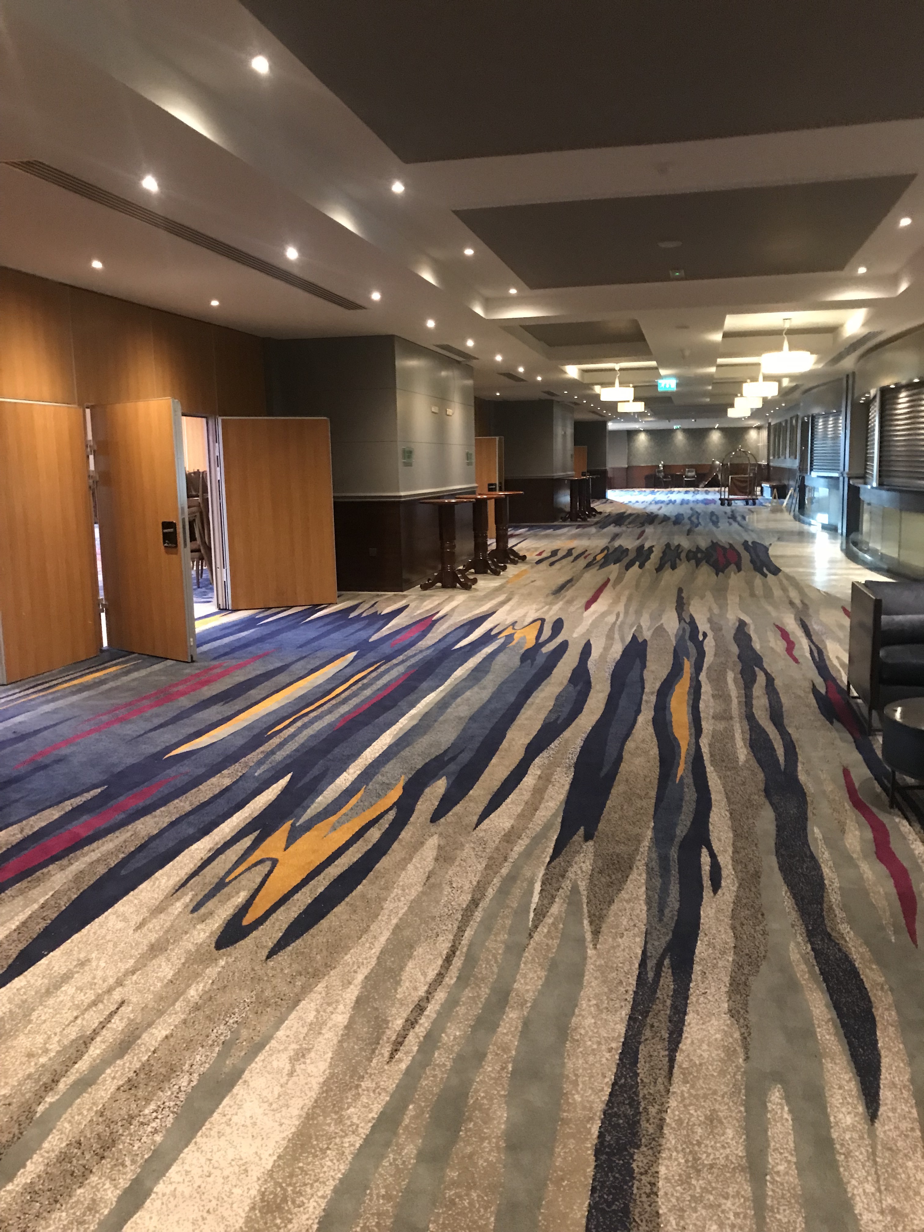Pre-function Room Carpet