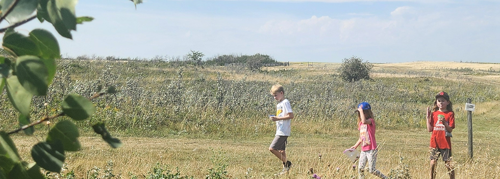Tiny Ones Summer (4).png
