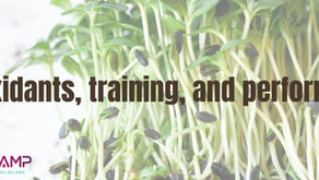 Antioxidants for training and performance