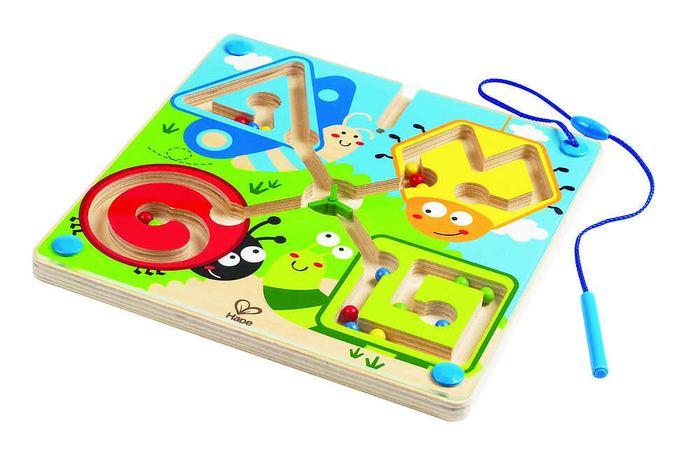 Miniatura: 4 immagini  Salta all'inizio della galleria di immagini Labirinto magnetico Picc