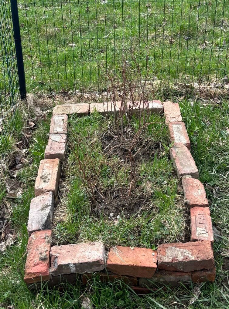 Spring Time in Vermont