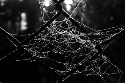 Shutter by Streeter - Photography by Anthony Mark Streeter