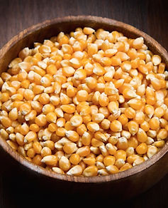 yellow-corn-03 (1).jpg