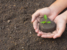 O melaço como fonte de carbono para alimentar microrganismos benéficos que recuperam a terra.