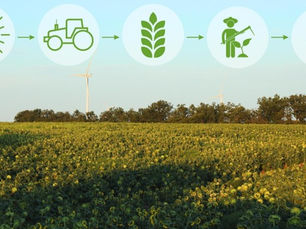 Melaço e sustentabilidade: uma parceria que transforma o campo 