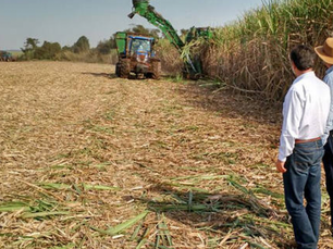 Minas Gerais estima crescimento na produção de cana-de-açúcar