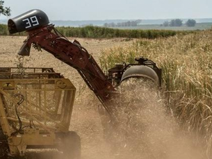 Europa se prepara para investida por mercado açucareiro quando restrições expirarem