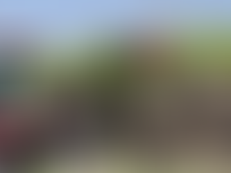 Produção de cana pode alcançar 654 milhões de toneladas