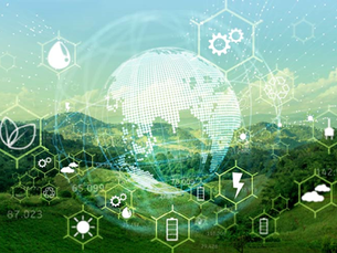 Como o Melaço contribui para a economia circular?