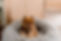 Boho Bloom Pilates - 33.jpeg