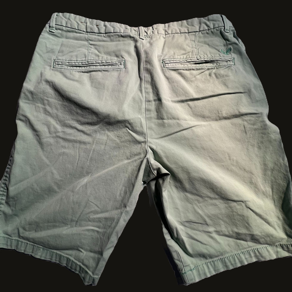 Thumbnail: AMERICAN EAGLE USED SHORTS