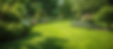 park-outdoor-manicured-lawn-flowerbed-ai-generated-image.jpg