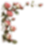 405497602_8fcc4936-ebbf-4233-8744-e3d7293c90a0 1.png