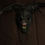 Thumbnail: Black Rabbit