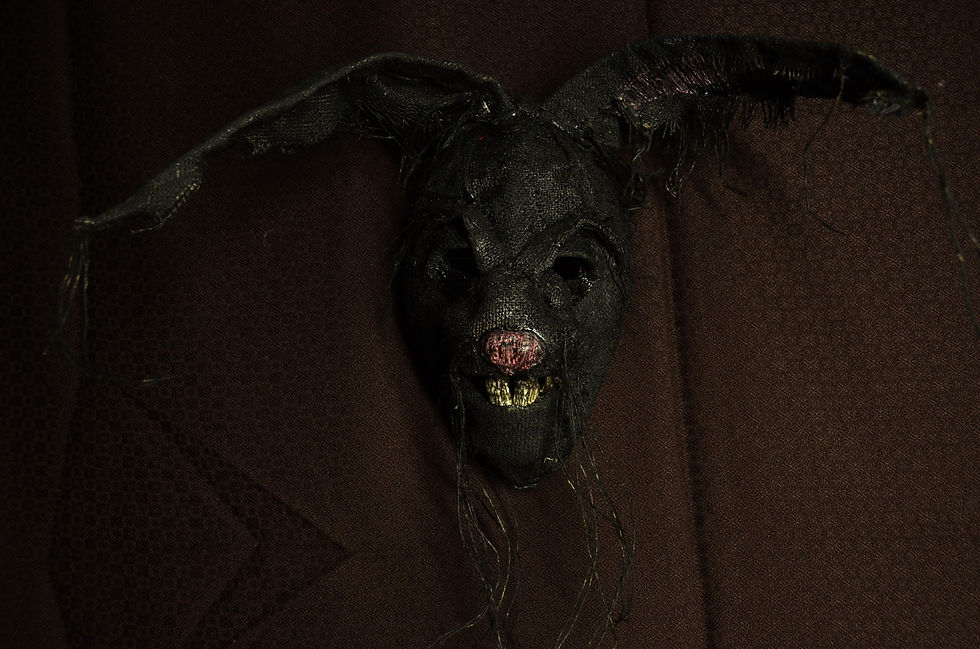Thumbnail: Black Rabbit