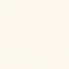 plain ivory background.jpeg