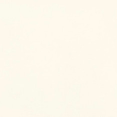 plain ivory background.jpeg