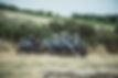 _BRC8895-01.jpeg