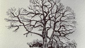 Benefits of Sketching: How Drawing Improves Creativity, Focus, and Aids Mindfulness