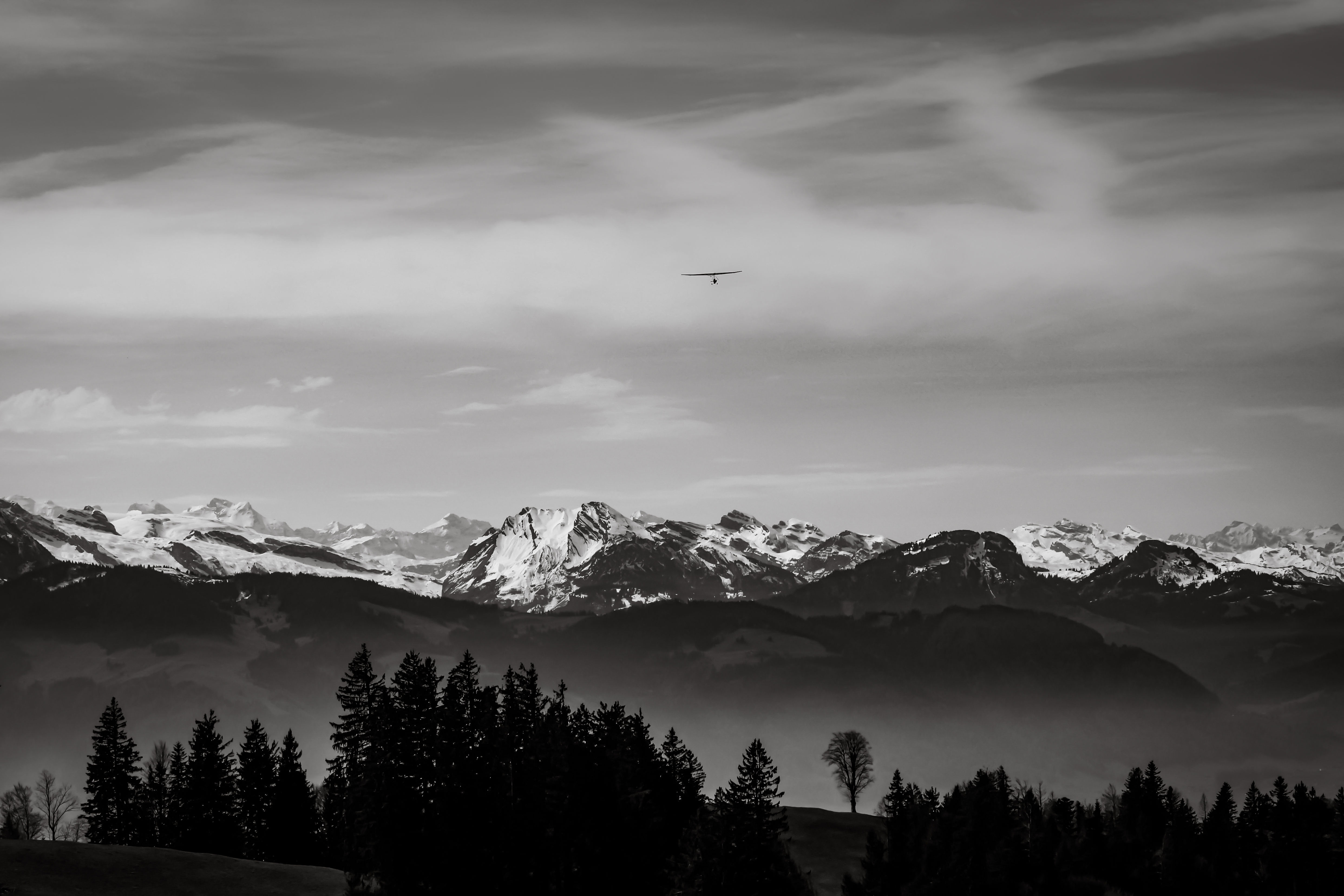 "Wind Knows No Borders"