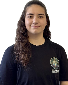 Chiropractor Southampton